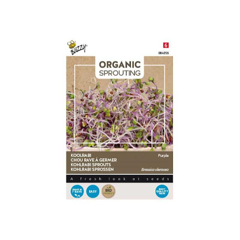 Organic Sprouting Koolrabi blauwpaars - 1